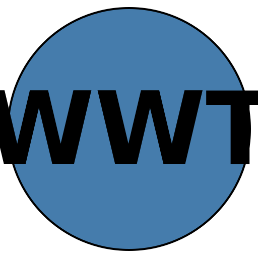 travelwisewave.live favicon